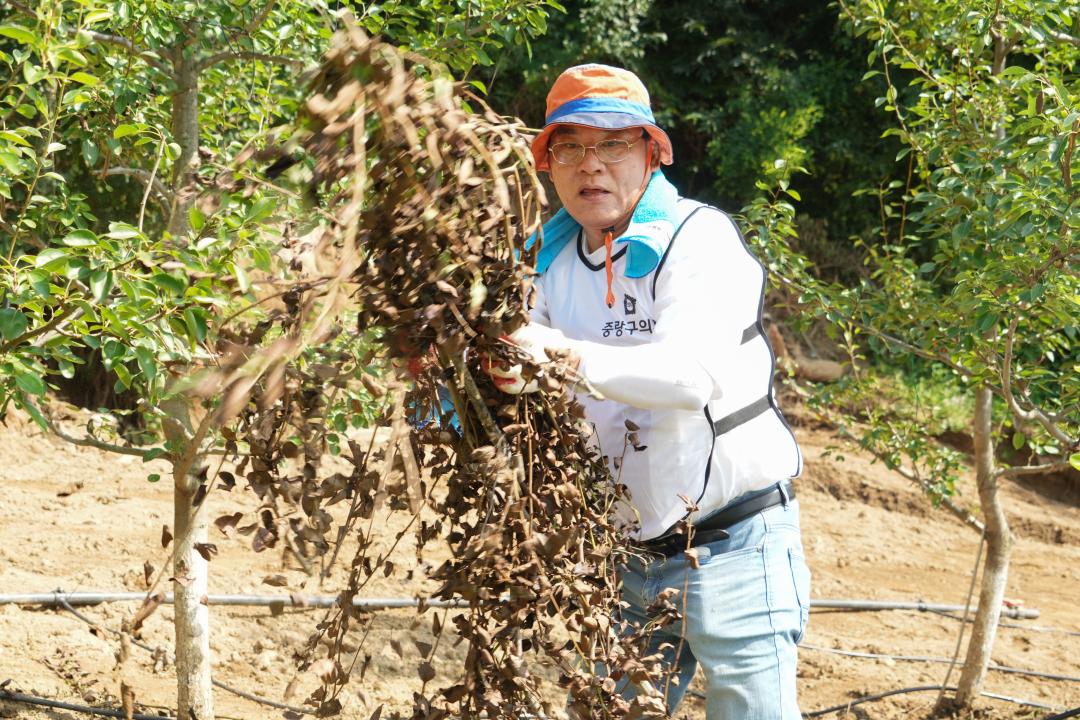 수해현장 피해복구 지원